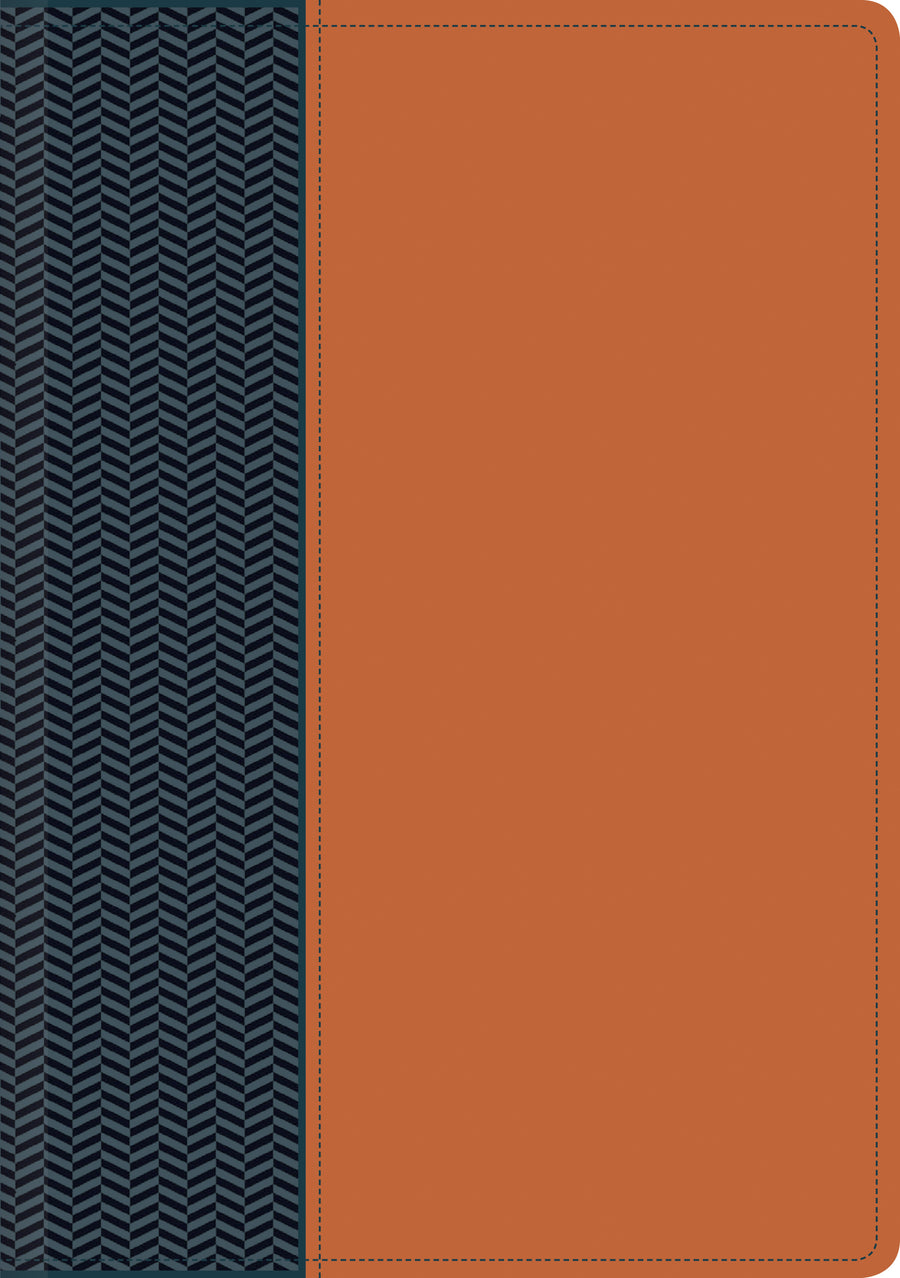 NTV Biblia de estudio del diario vivir, Brown/Blue - Re-vived