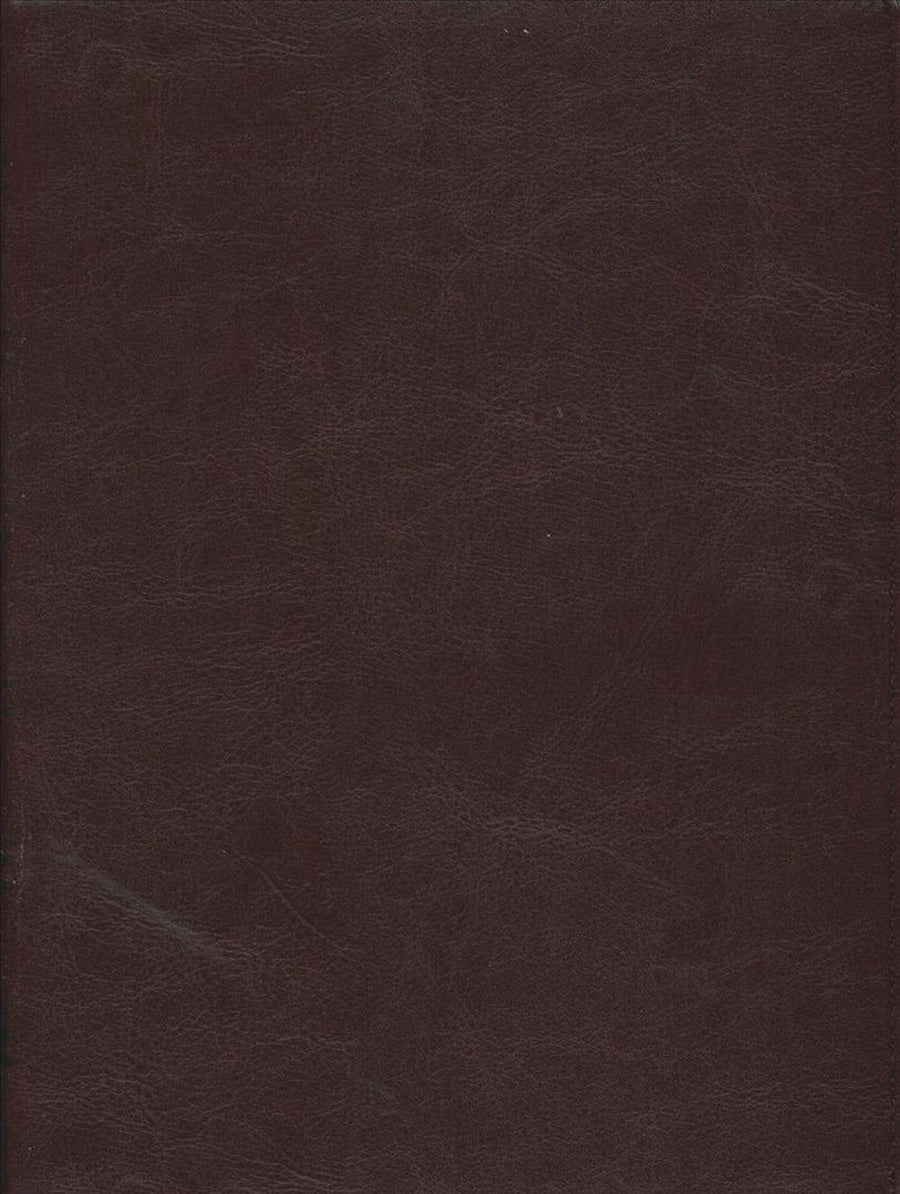 Santa Biblia Ntv, Edición Clásica (Spanish) Imitation Leather, Red Wine - Re-vived