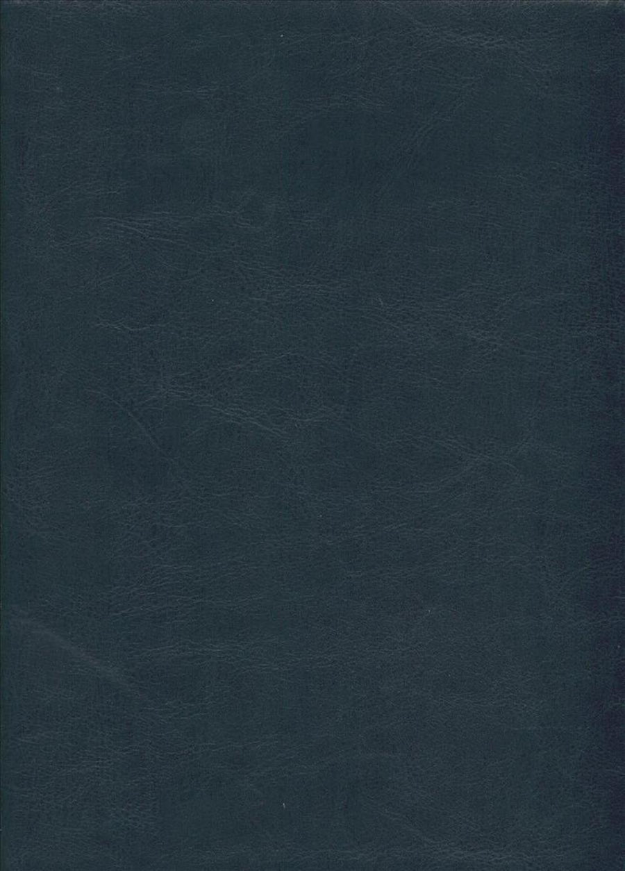Santa Biblia Ntv, Edición Clásica (Spanish) Imitation Leather, Blue - Re-vived