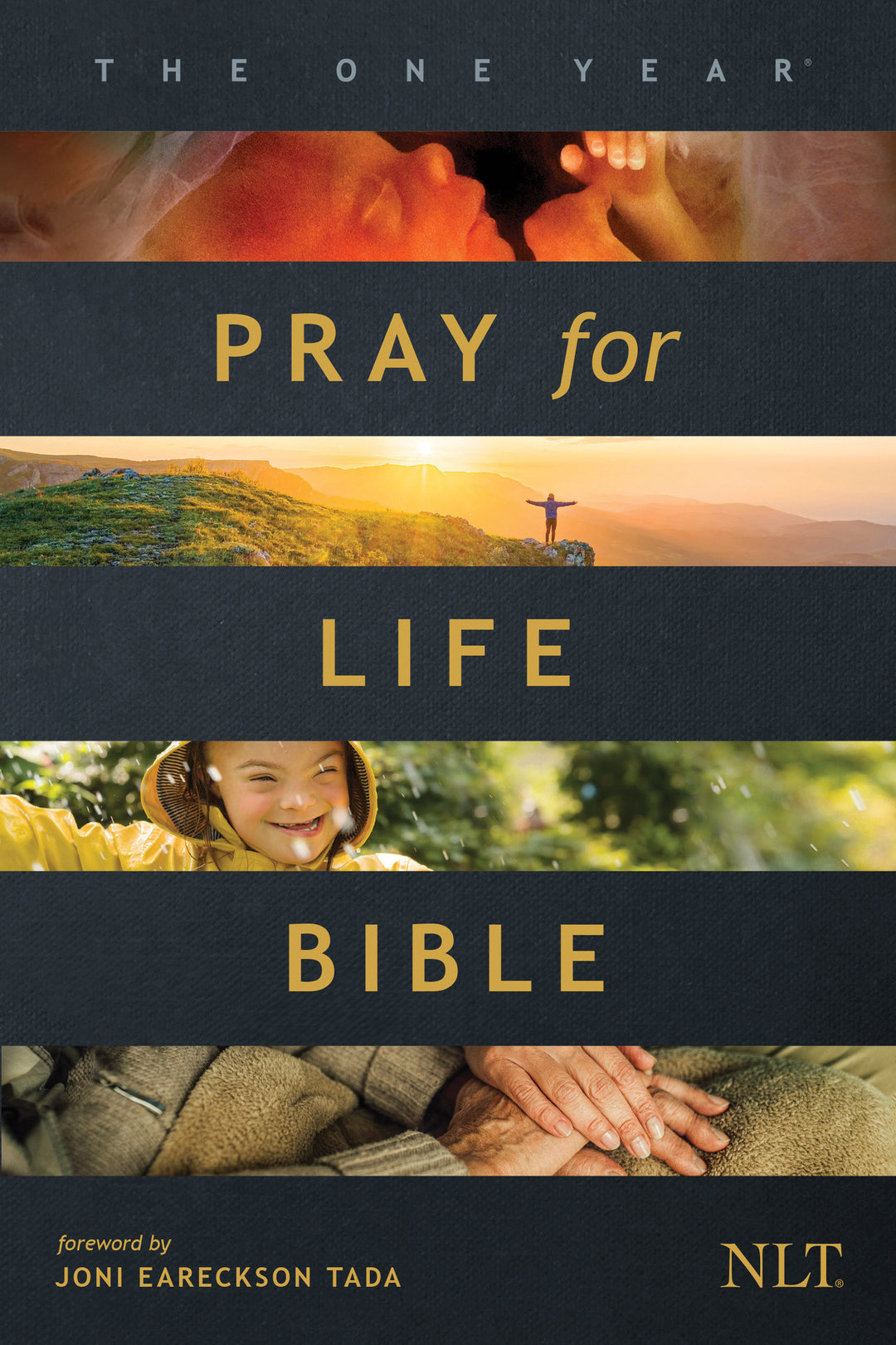 The NLT One Year Pray for Life Bible (Softcover) - Re-vived