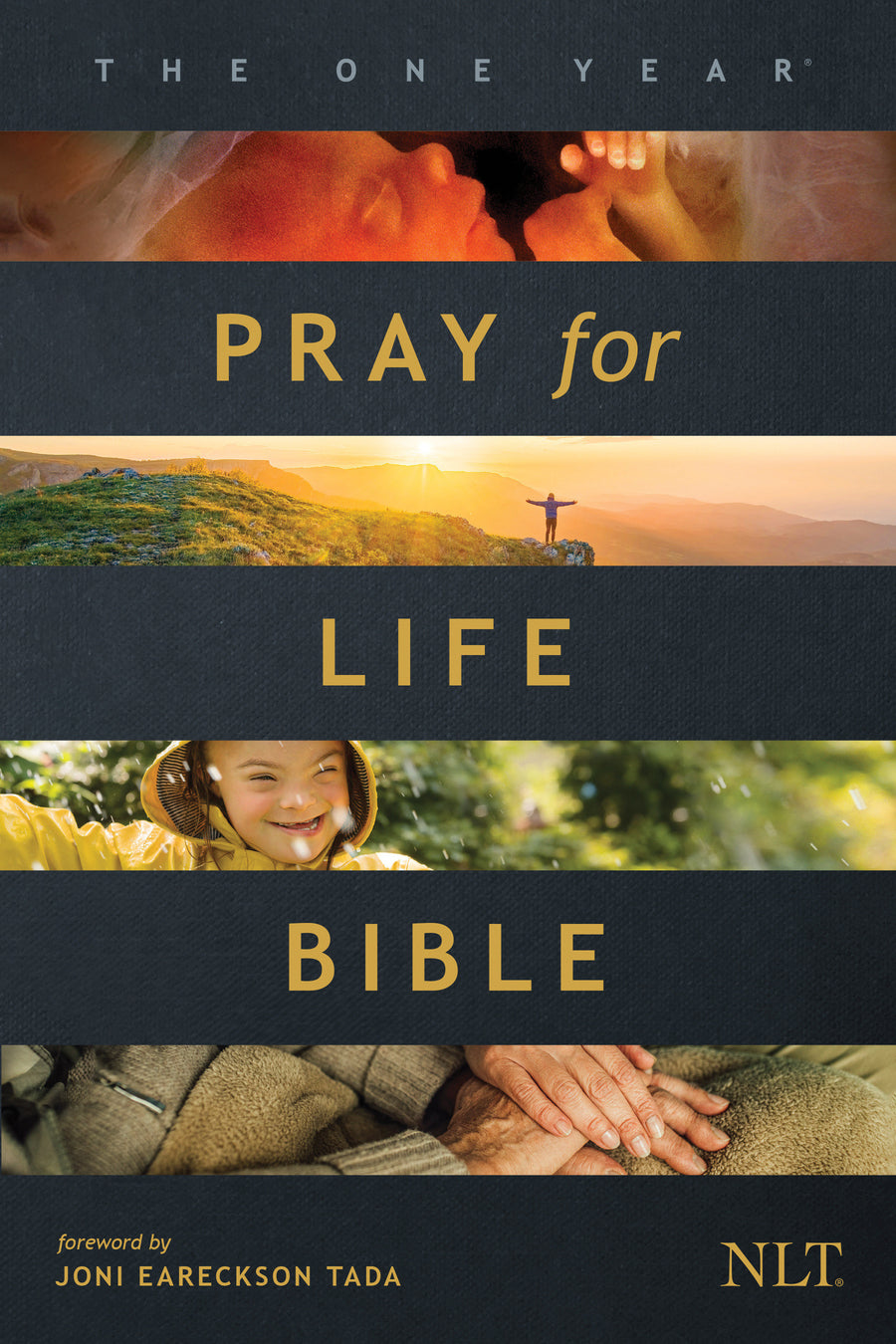 The NLT One Year Pray for Life Bible (Softcover) - Re-vived