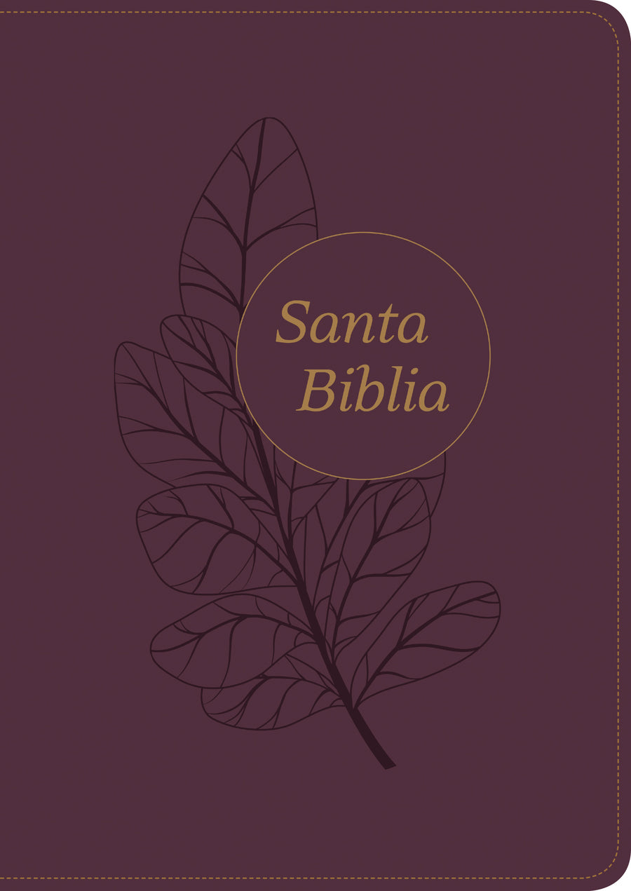 Santa Biblia RVR60, Edición de referencia ultrafina, letra g - Re-vived