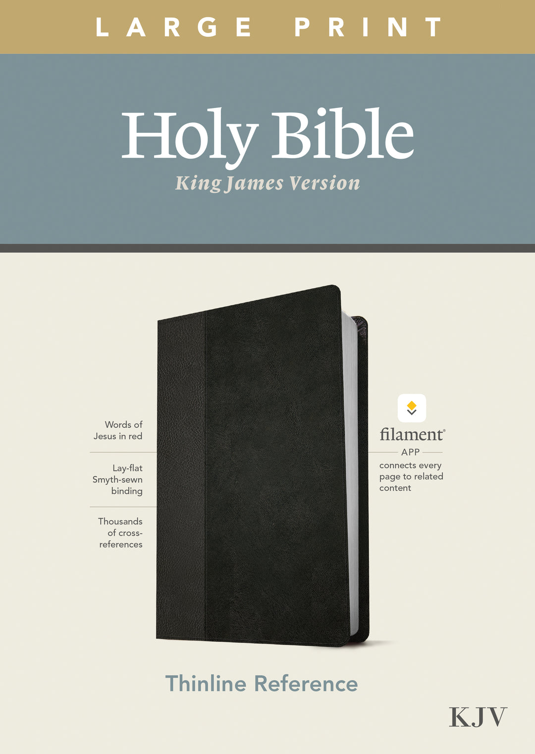 KJV Large Print Thinline Reference Bible, Filament Edition - Re-vived
