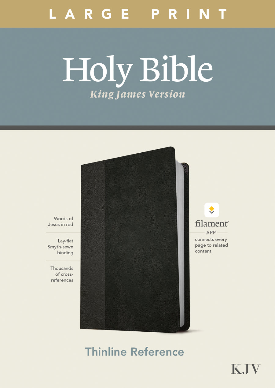 KJV Large Print Thinline Reference Bible, Filament Edition - Re-vived