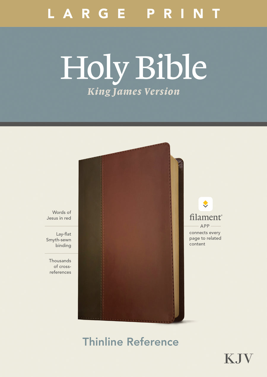 KJV Large Print Thinline Reference Bible, Filament Edition - Re-vived