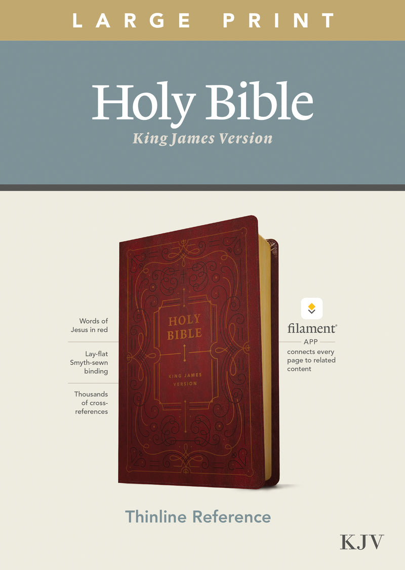 KJV Large Print Thinline Reference Bible, Filament Edition