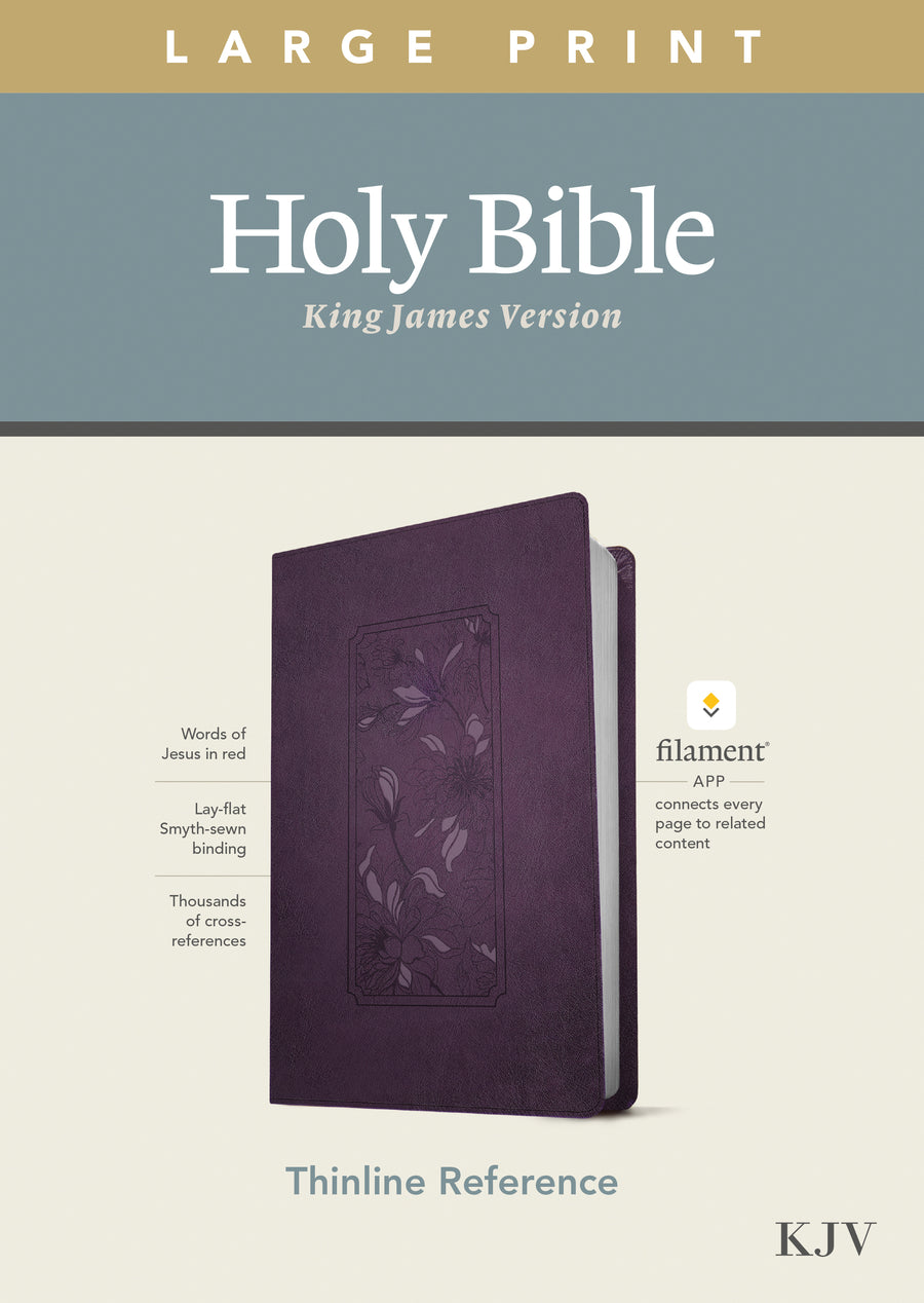 KJV Large Print Thinline Reference Bible, Filament Edition - Re-vived