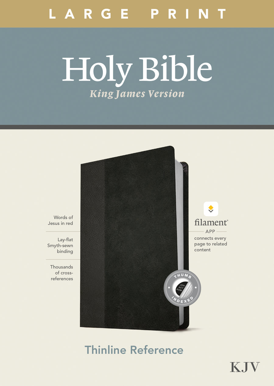 KJV Large Print Thinline Reference Bible, Filament Enabled Edition (Red Letter, LeatherLike, Black/Onyx, Indexed) - Re-vived