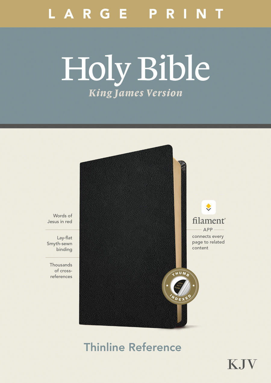 KJV Large Print Thinline Reference Bible, Filament Enabled E - Re-vived