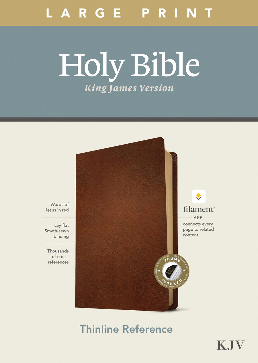 KJV Large Print Thinline Reference Bible, Filament Enabled E - Re-vived