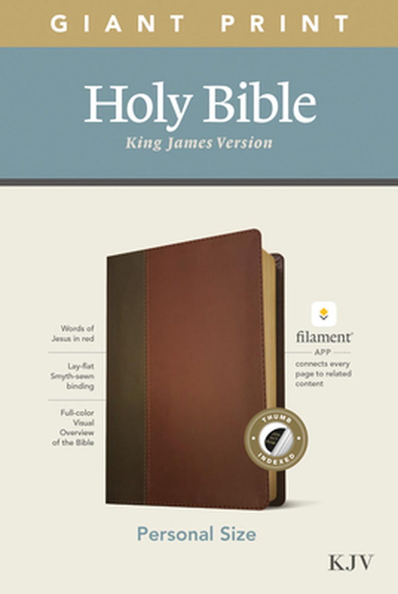 KJV Personal Size Giant Print Bible, Filament Edition, Brown Imitation Leather – Large Print