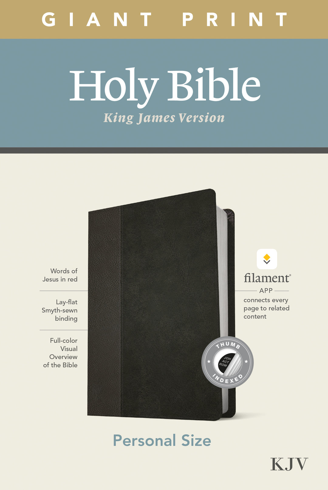 KJV Personal Size Giant Print Bible, Filament Edition, Black Imitation Leather – Large Print - Re-vived