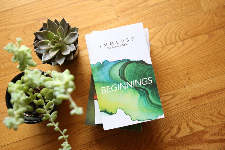 Immerse: Beginnings - Re-vived