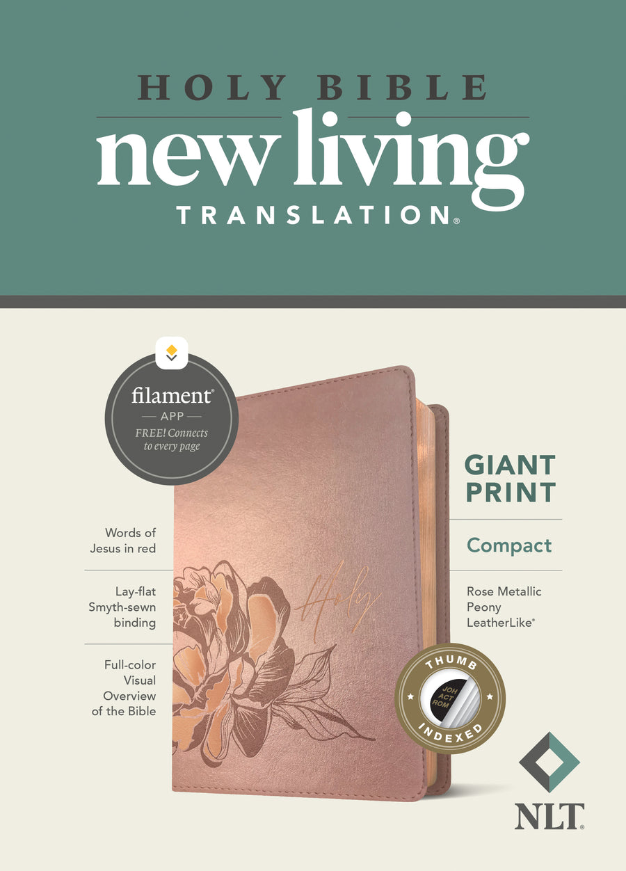 NLT Compact Giant Print Bible, Filament Edition, Rose - Re-vived