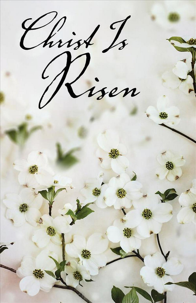 Christ Is Risen Dogwood Easter Bulletin (Pkg of 50)