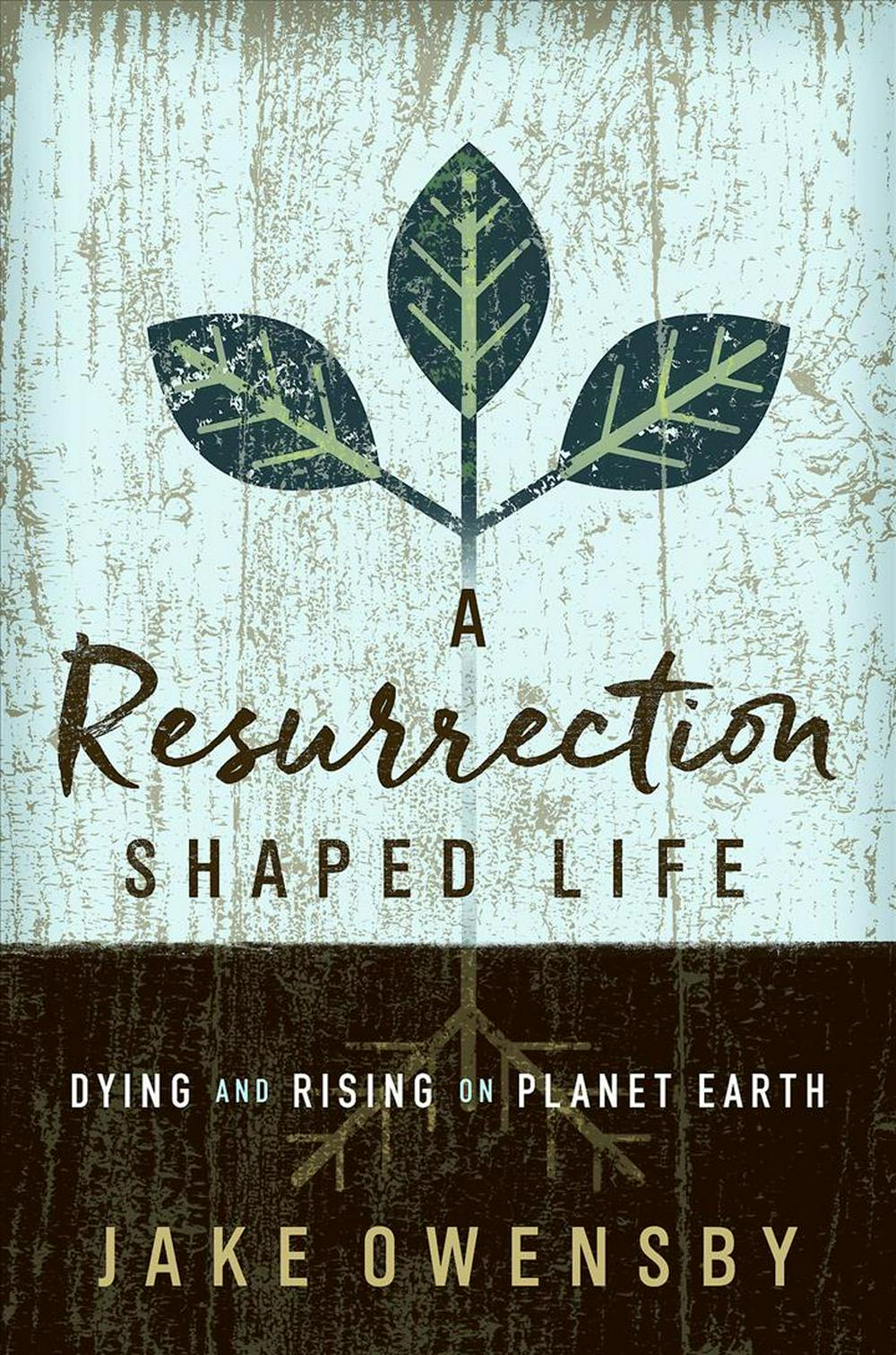 A Resurrection Shaped Life - Re-vived