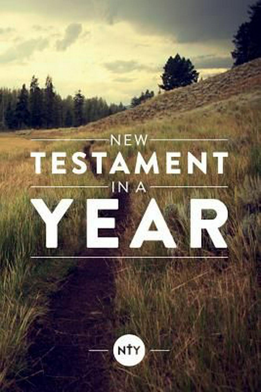 New Testament In A Year - Re-vived