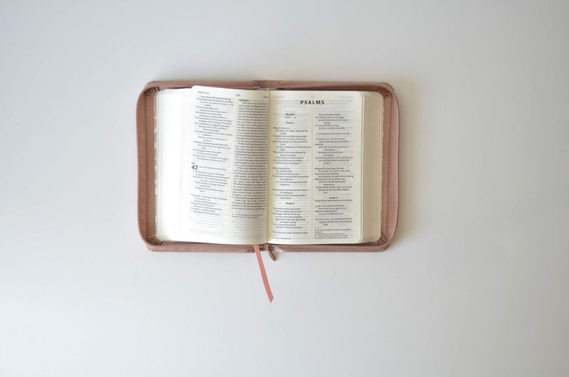 NIV Pocket Soft-tone Bible, Rose Gold