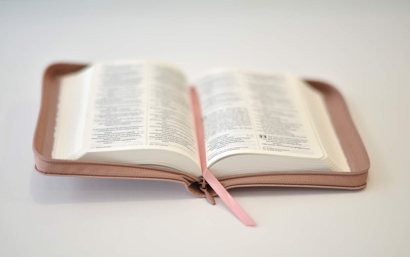 NIV Pocket Soft-tone Bible, Rose Gold - Re-vived