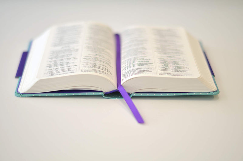 NIV Pocket Mint Polka-Dot Notebook Bible