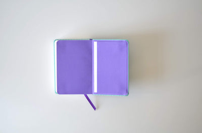 NIV Pocket Mint Polka-Dot Notebook Bible