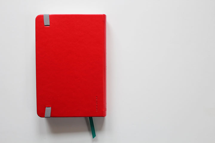 NIV Thinline Soft-Tone Bible, Red - Re-vived