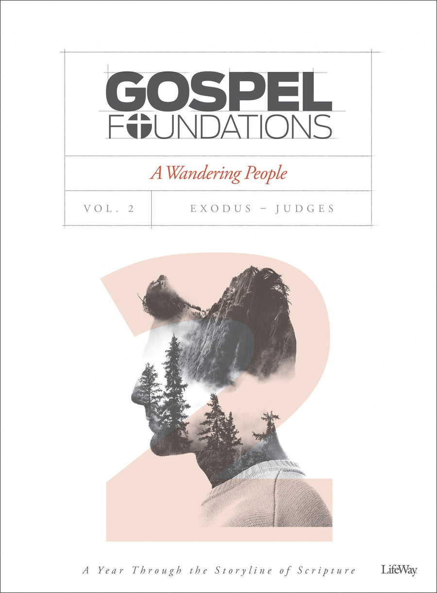 Gospel Foundations Volume 2 Bible Study Book - Re-vived