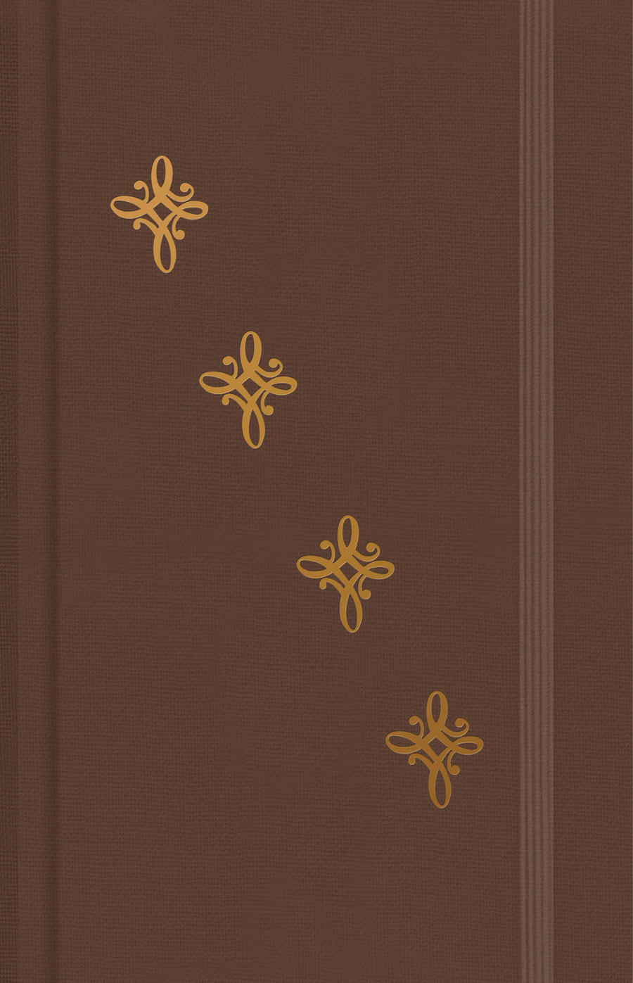 Joy, Journal - Re-vived