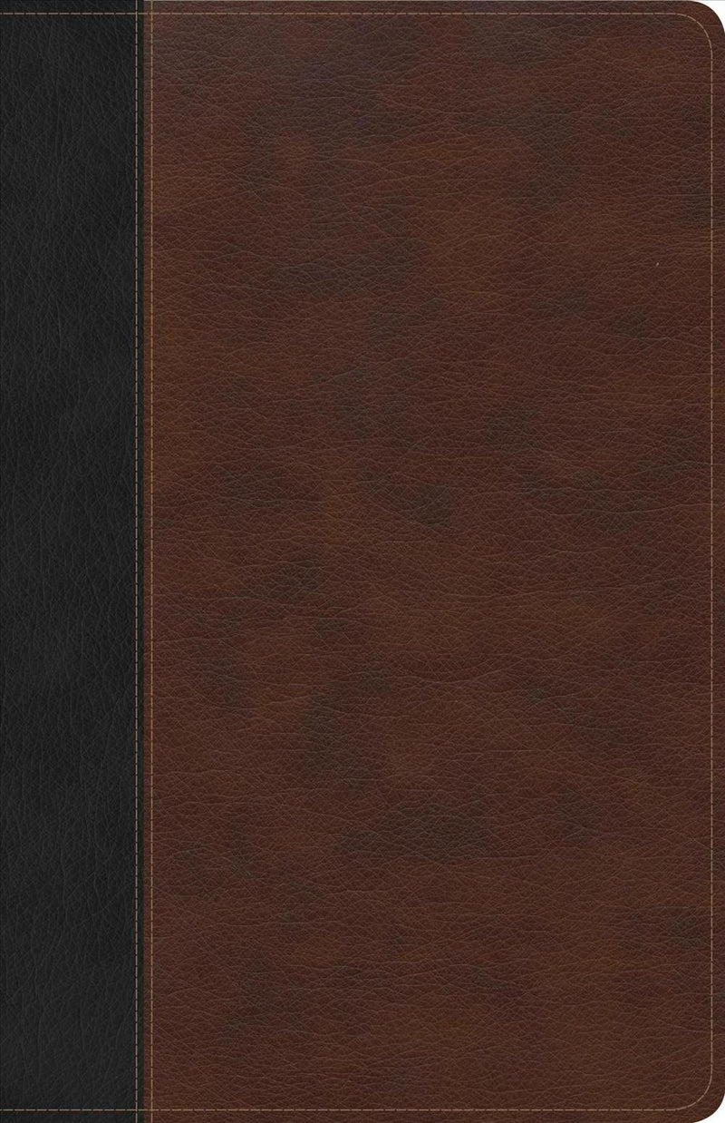 CSB Ultrathin Bible, Brown/Black Leathertouch