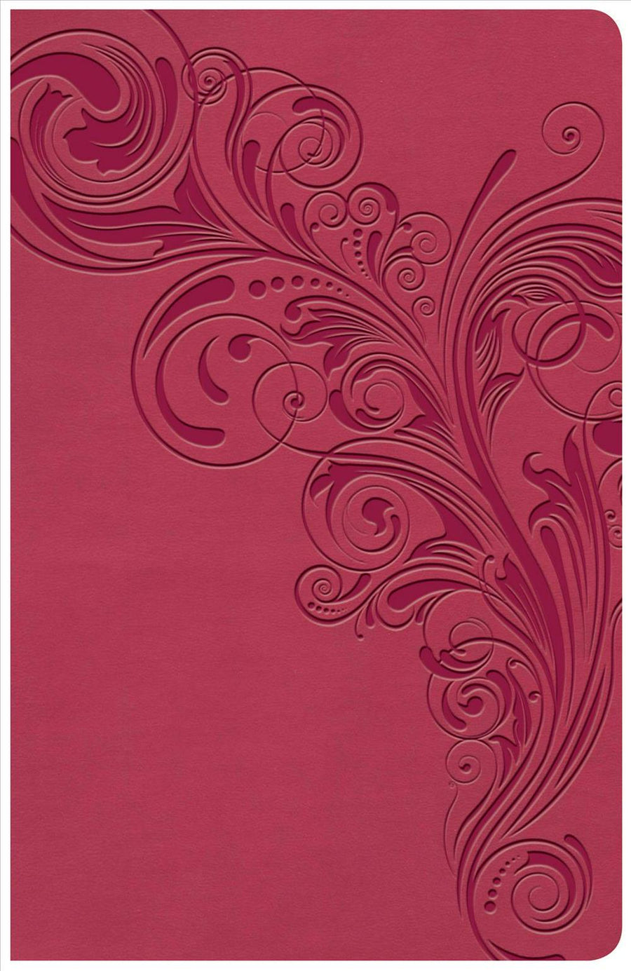 KJV Large Print Personal Size Reference Bible, Pink - Re-vived