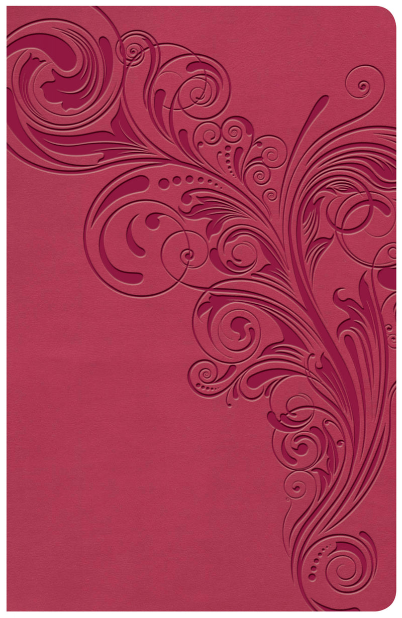 KJV Large Print Personal Size Reference Bible, Pink