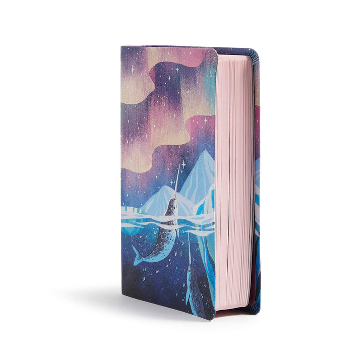 CSB Kids Bible, Narwhal LeatherTouch - Re-vived