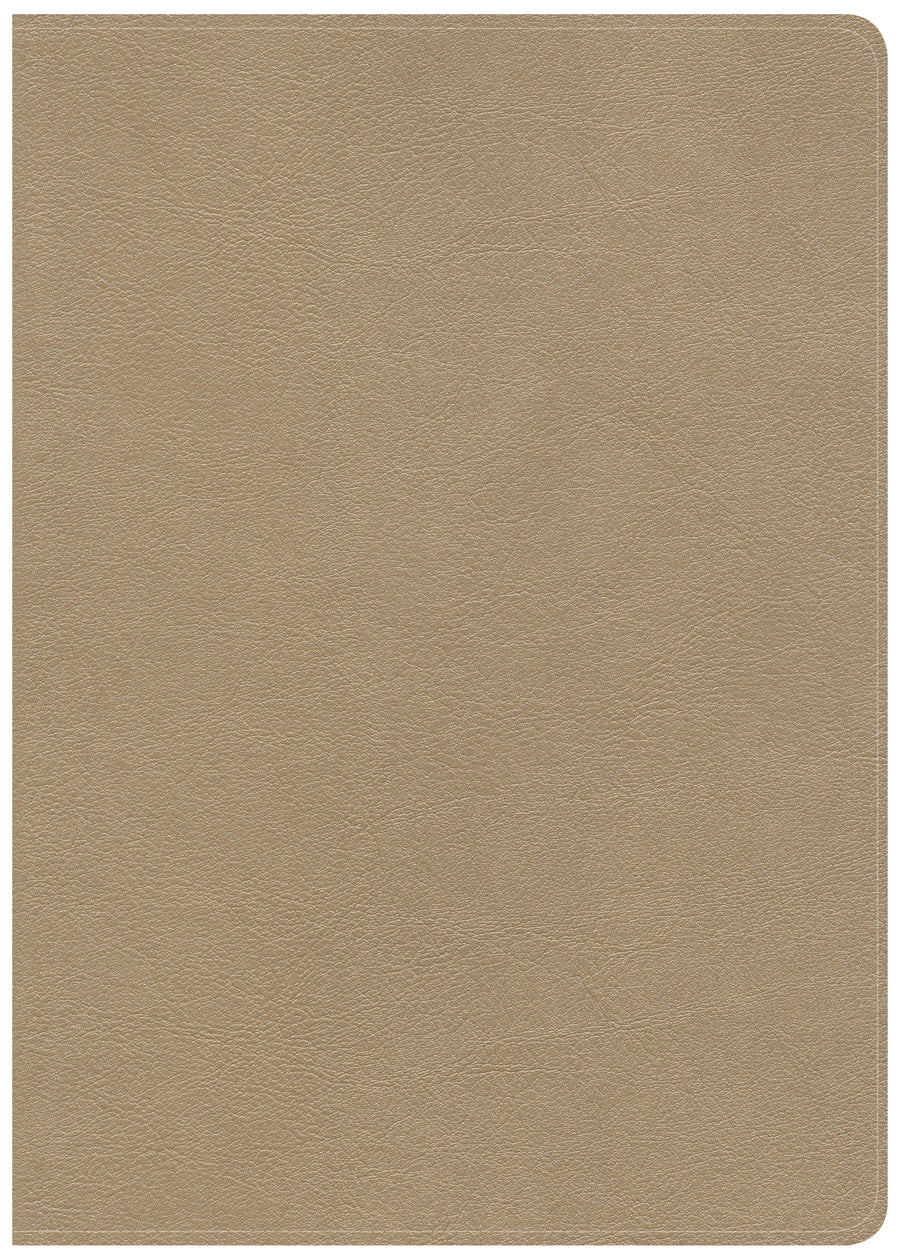 CSB She Reads Truth Bible, Champagne LeatherTouch, Indexed - Re-vived