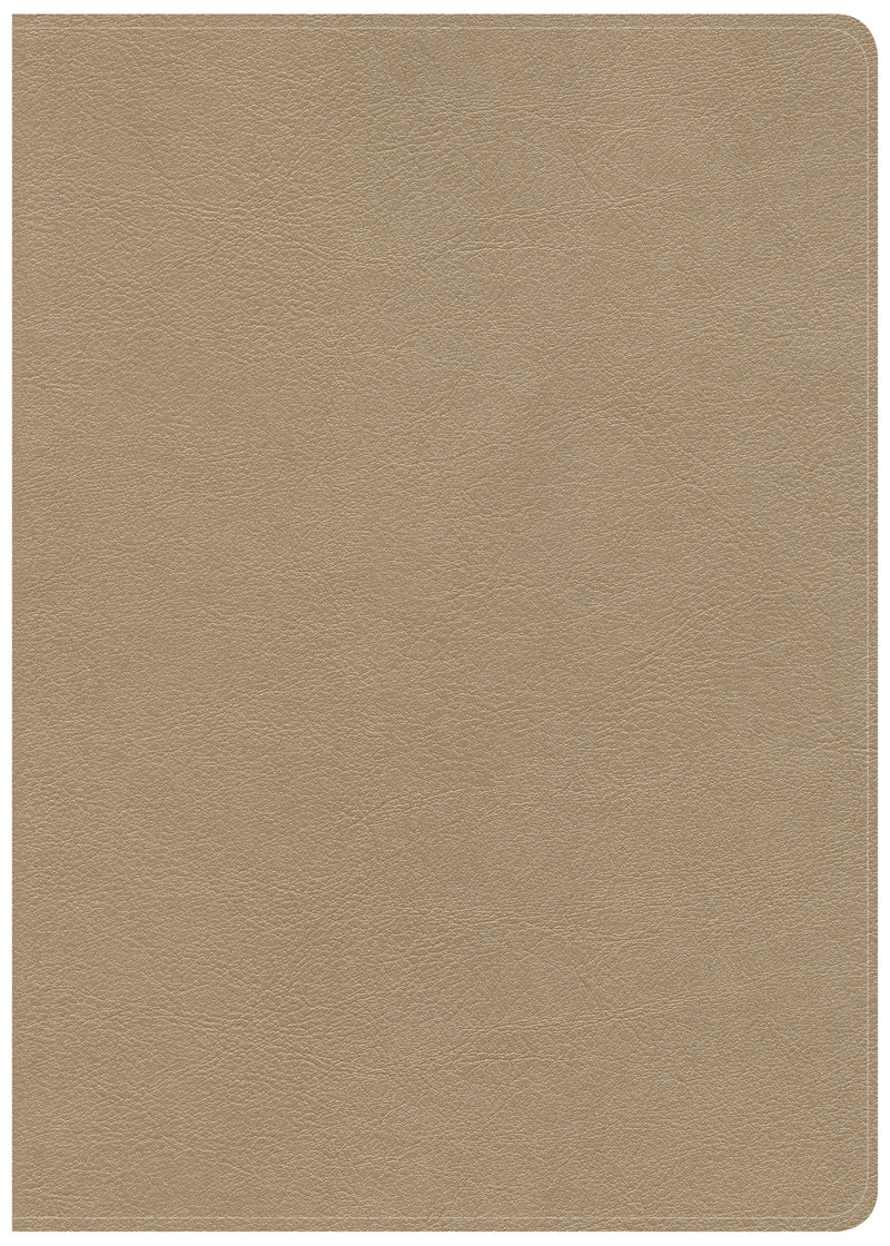 CSB She Reads Truth Bible, Champagne LeatherTouch, Indexed