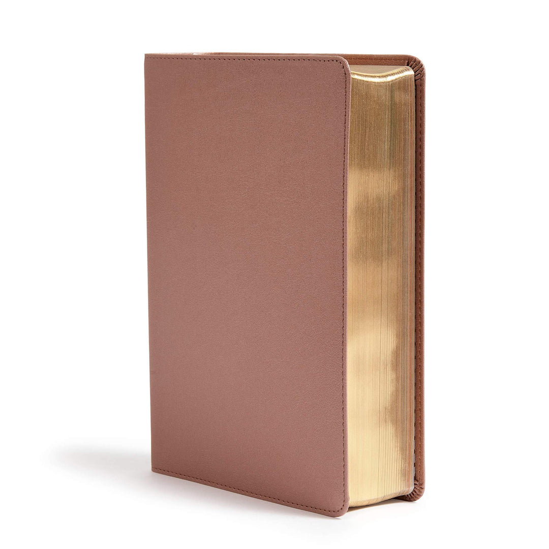 CSB She Reads Truth Bible, Rose Gold LeatherTouch - Re-vived