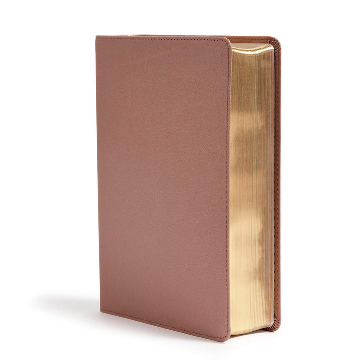 CSB She Reads Truth Bible, Rose Gold LeatherTouch - Re-vived