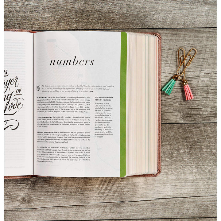 CSB She Reads Truth Bible, Rose Gold LeatherTouch - Re-vived