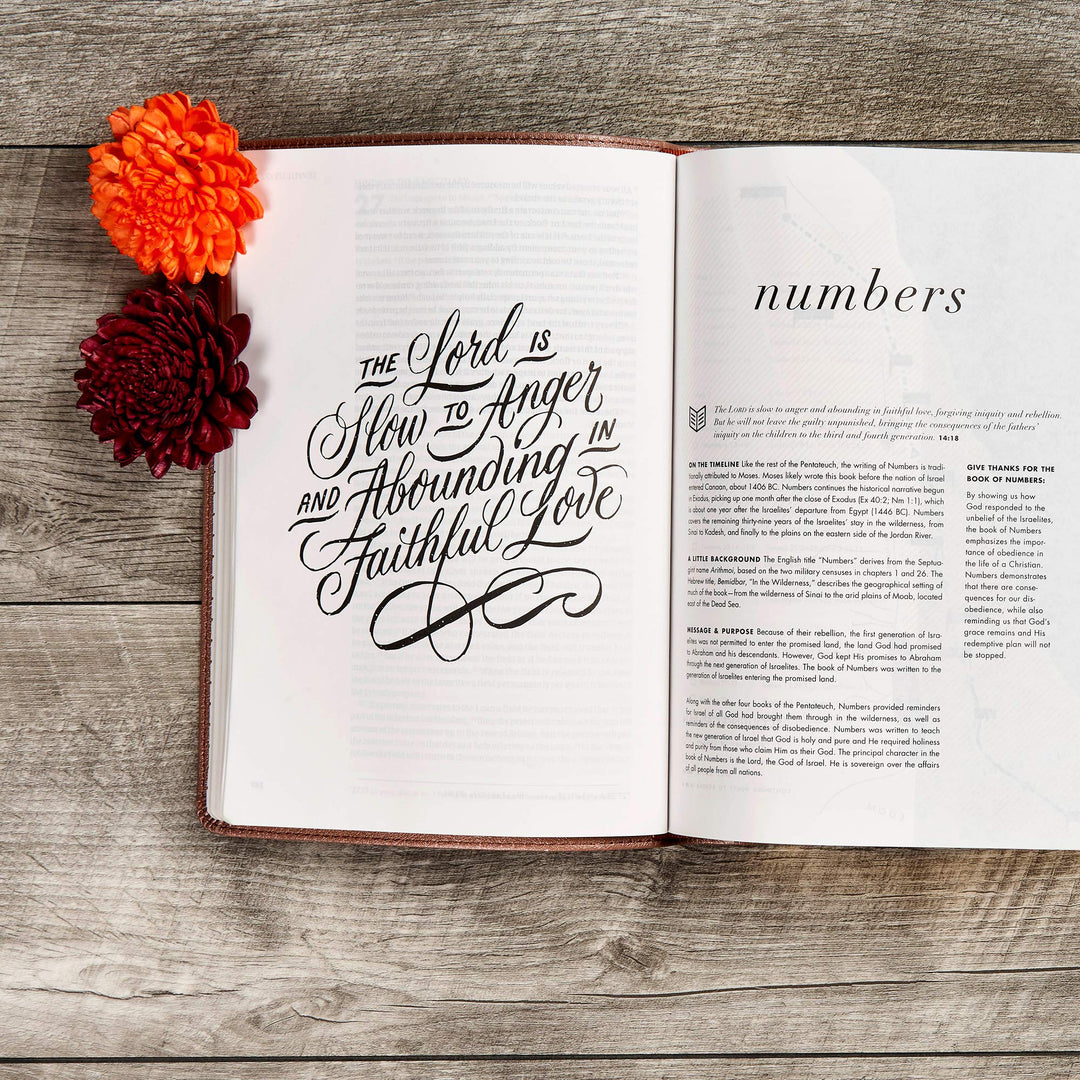 CSB She Reads Truth Bible, Rose Gold LeatherTouch - Re-vived