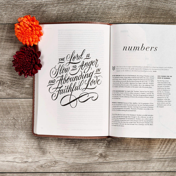 CSB She Reads Truth Bible, Rose Gold LeatherTouch - Re-vived