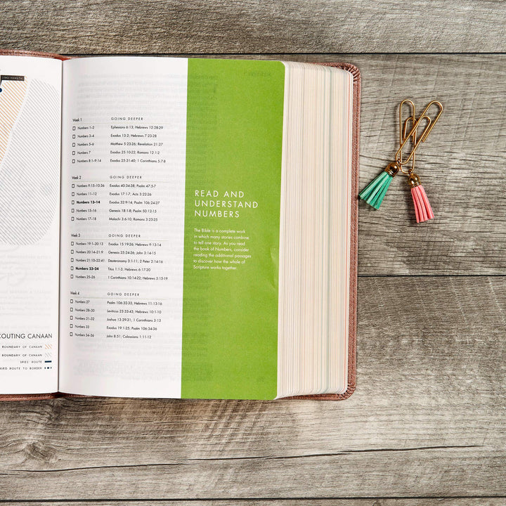 CSB She Reads Truth Bible, Rose Gold LeatherTouch - Re-vived
