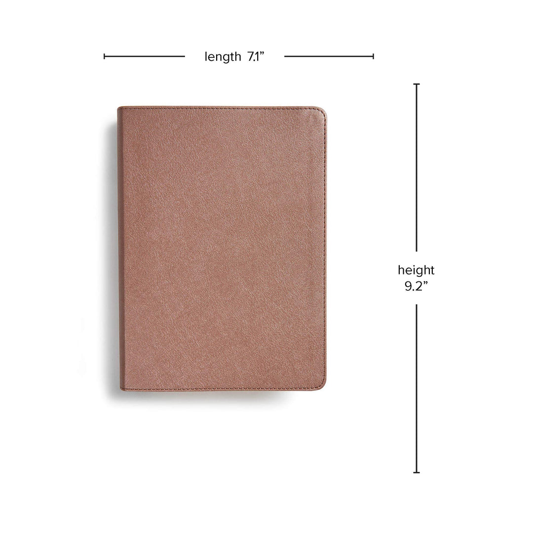 CSB She Reads Truth Bible, Rose Gold LeatherTouch - Re-vived