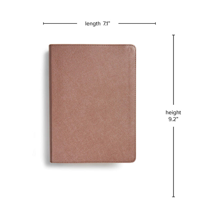 CSB She Reads Truth Bible, Rose Gold LeatherTouch - Re-vived