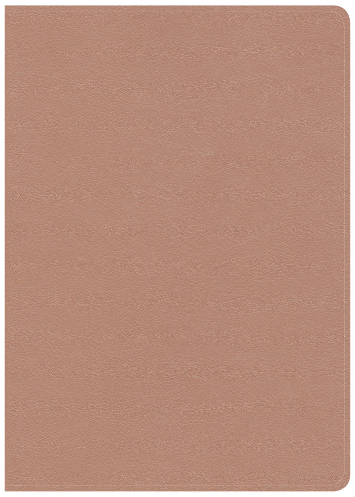 CSB She Reads Truth Bible, Rose Gold LeatherTouch - Re-vived