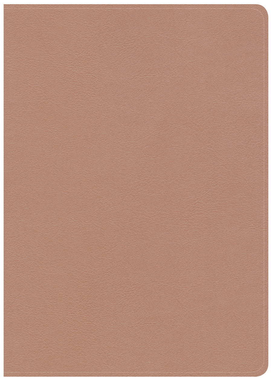 CSB She Reads Truth Bible, Rose Gold LeatherTouch, Indexed - Re-vived