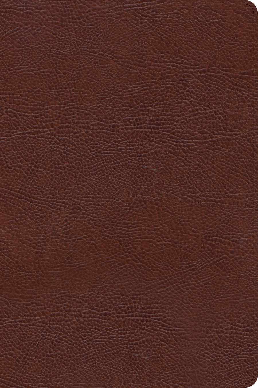 CSB Verse-by-Verse Reference Bible, Brown Bonded Leather - Re-vived