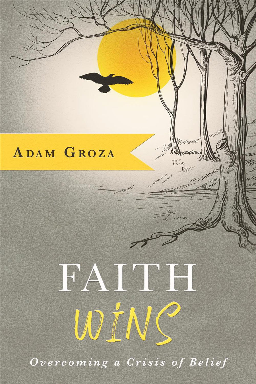 Faith Wins - Re-vived