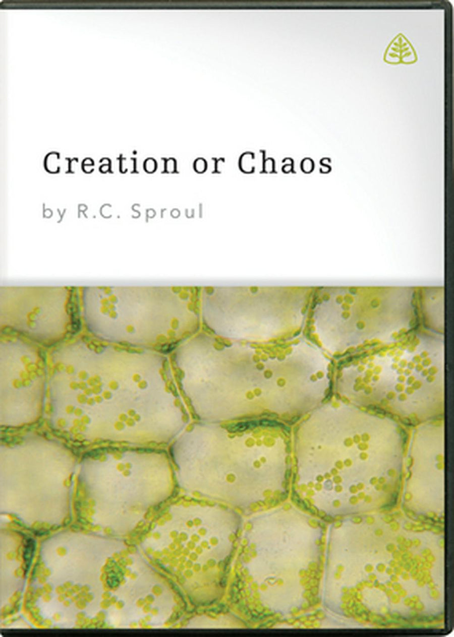 Creation or Chaos DVD - Re-vived
