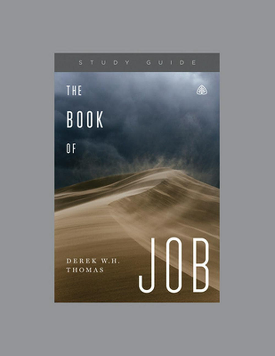 The Book of Job - Re-vived