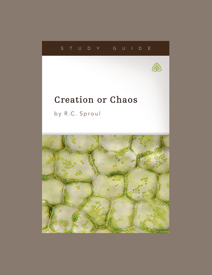 Creation or Chaos - Re-vived