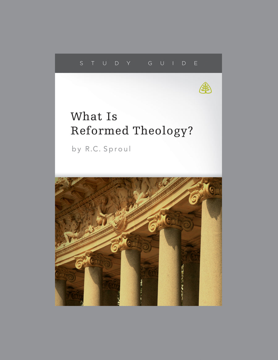 What Is Reformed Theology? - Re-vived